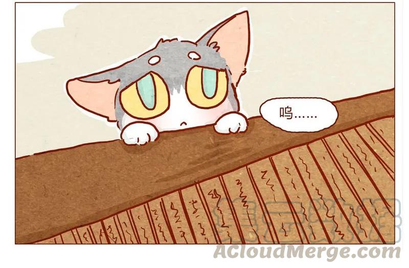 141话小丸的秘密-喂，看见耳朵啦-特雷西胡,漫漫漫画（第5张）