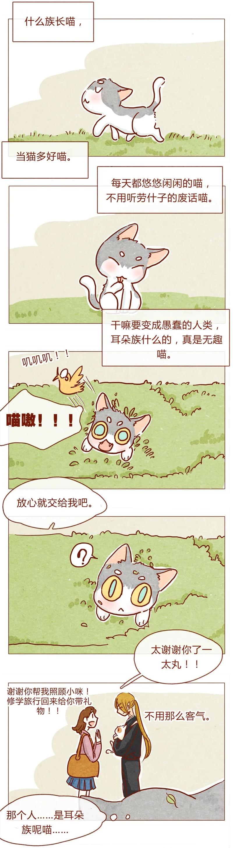 142话当耳朵族真无聊-喂，看见耳朵啦-特雷西胡,漫漫漫画（第3张）