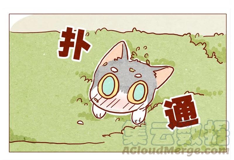 142话当耳朵族真无聊-喂，看见耳朵啦-特雷西胡,漫漫漫画（第5张）