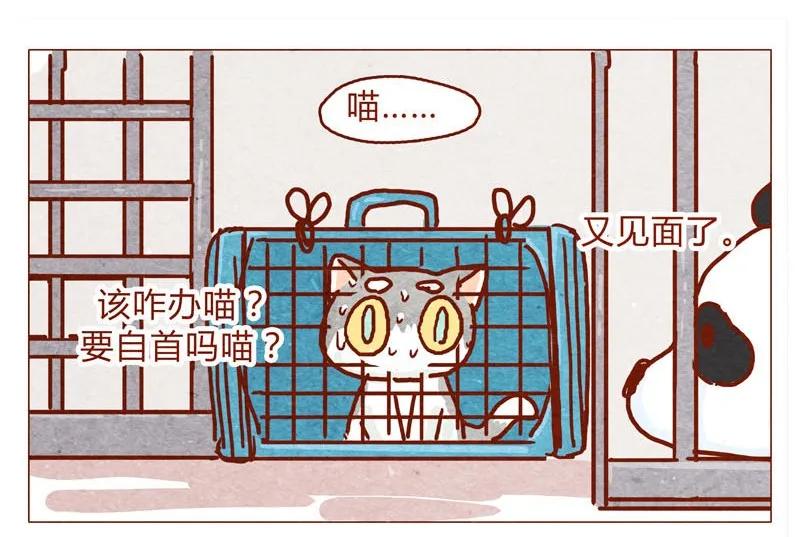 143话仇人相见-喂，看见耳朵啦-特雷西胡,漫漫漫画（第4张）