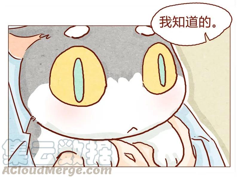 144话分外尴尬-喂，看见耳朵啦-特雷西胡,漫漫漫画（第7张）