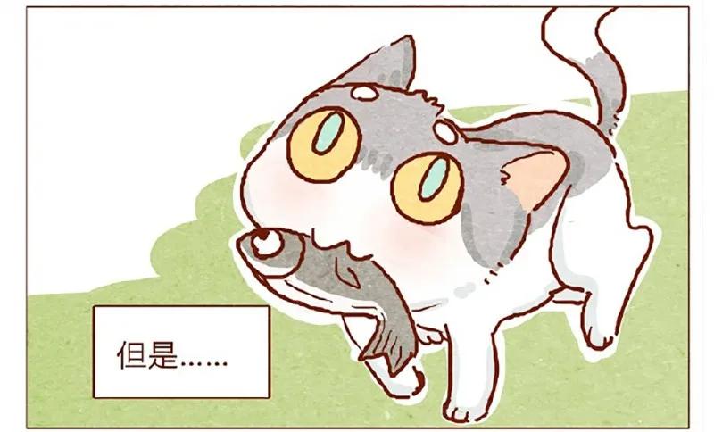 146话您一生的护卫-喂，看见耳朵啦-特雷西胡,漫漫漫画（第4张）