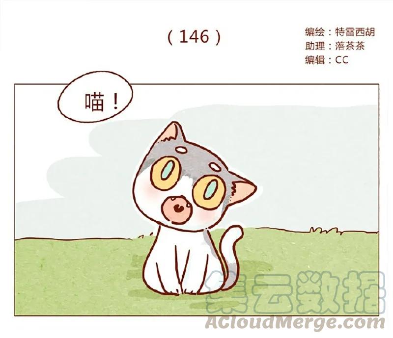 146话您一生的护卫-喂，看见耳朵啦-特雷西胡,漫漫漫画（第1张）