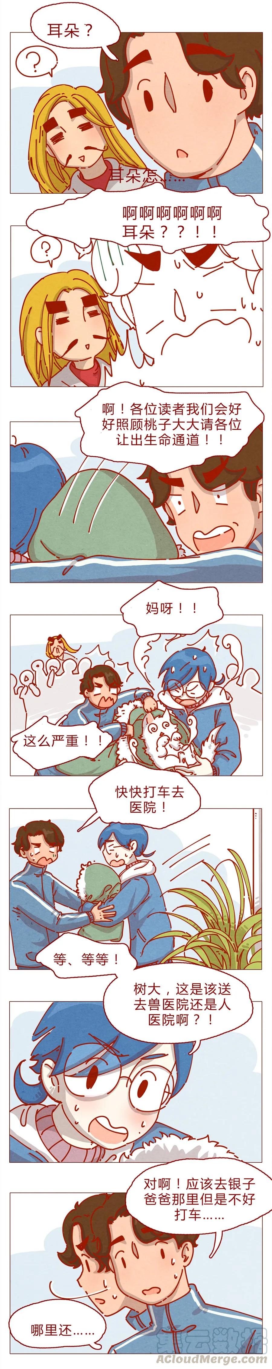 158话医生帮帮忙-喂，看见耳朵啦-特雷西胡,漫漫漫画（第5张）
