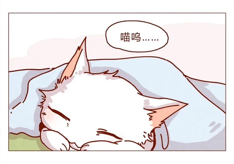 159话立坠爱-喂，看见耳朵啦-特雷西胡,漫漫漫画（第6张）