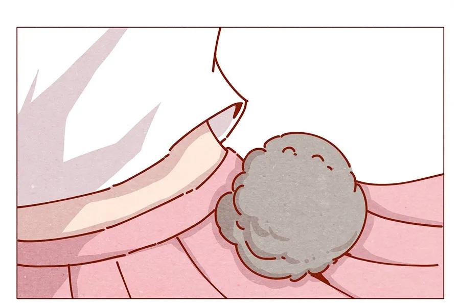 164话大家好我是小银子-喂，看见耳朵啦-特雷西胡,漫漫漫画（第14张）