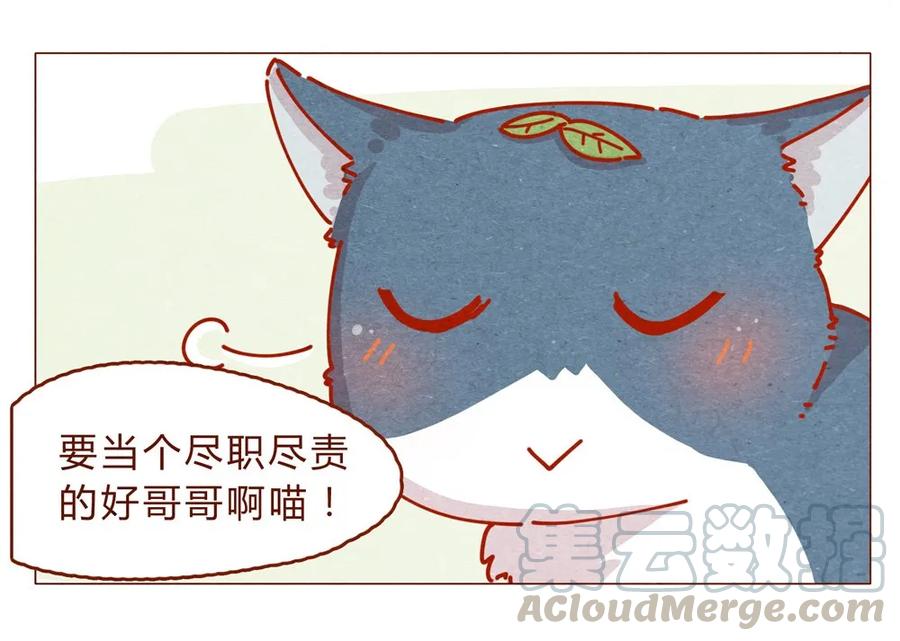 170话论好哥哥的养成-喂，看见耳朵啦-特雷西胡,漫漫漫画（第9张）