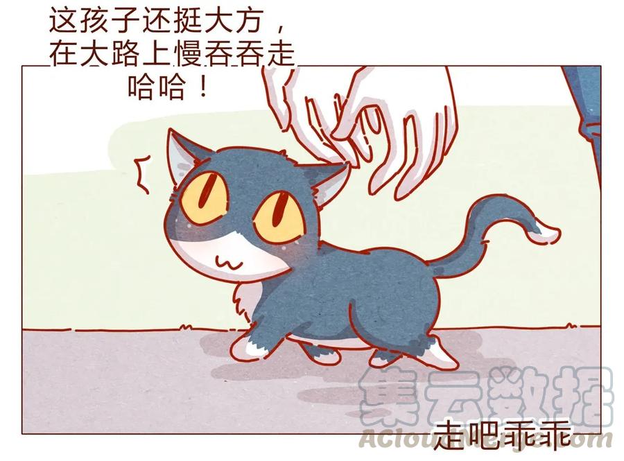 170话论好哥哥的养成-喂，看见耳朵啦-特雷西胡,漫漫漫画（第13张）
