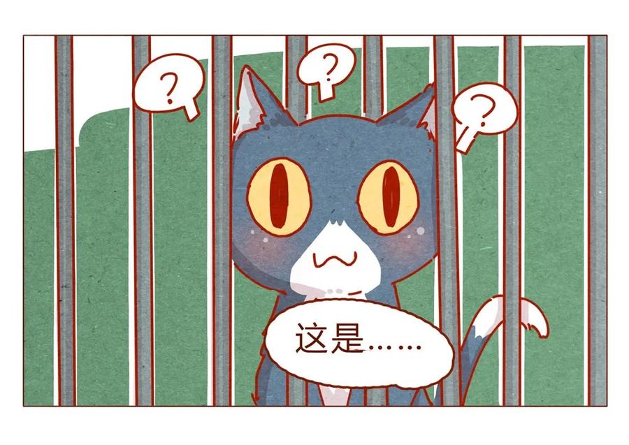 170话论好哥哥的养成-喂，看见耳朵啦-特雷西胡,漫漫漫画（第15张）