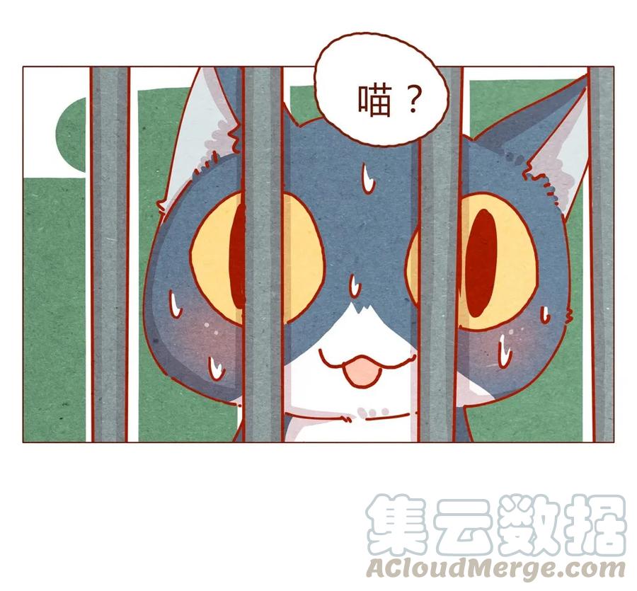 170话论好哥哥的养成-喂，看见耳朵啦-特雷西胡,漫漫漫画（第17张）