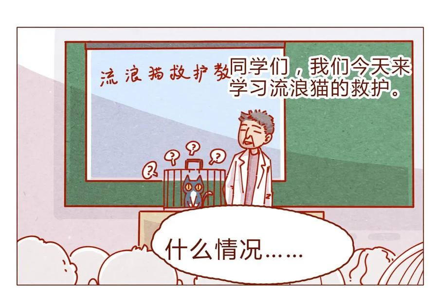 170话论好哥哥的养成-喂，看见耳朵啦-特雷西胡,漫漫漫画（第16张）