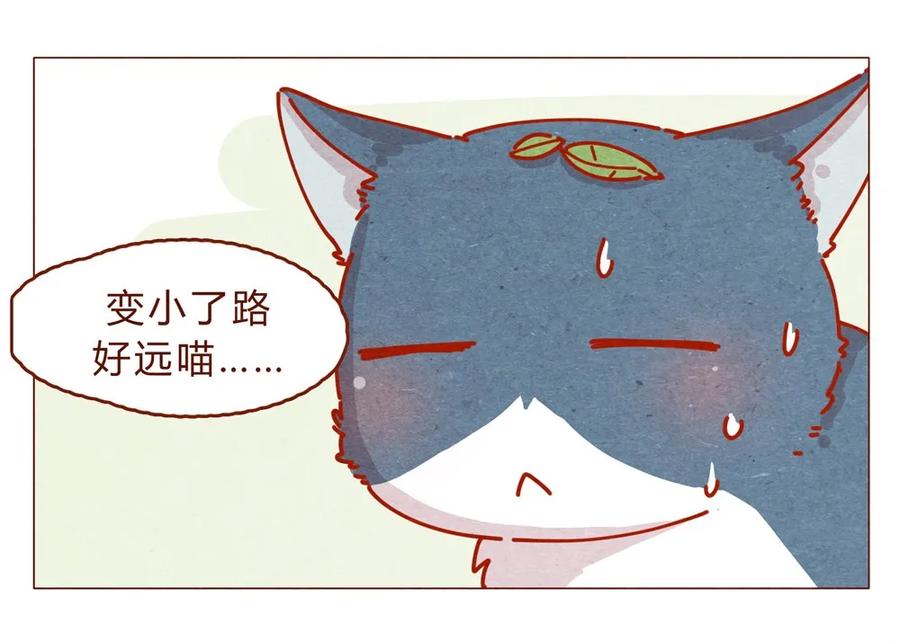 170话论好哥哥的养成-喂，看见耳朵啦-特雷西胡,漫漫漫画（第8张）