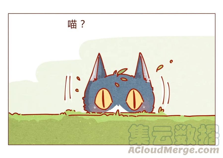 170话论好哥哥的养成-喂，看见耳朵啦-特雷西胡,漫漫漫画（第5张）