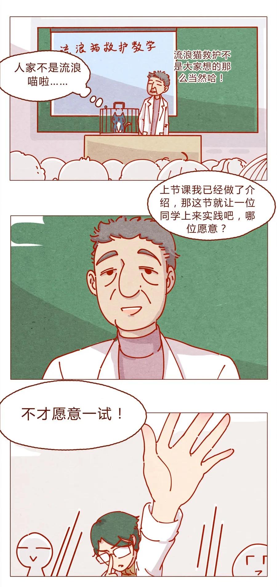 171话别人家的喵！-喂，看见耳朵啦-特雷西胡,漫漫漫画（第2张）