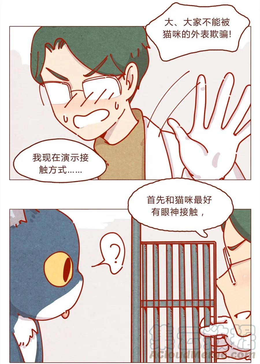171话别人家的喵！-喂，看见耳朵啦-特雷西胡,漫漫漫画（第9张）