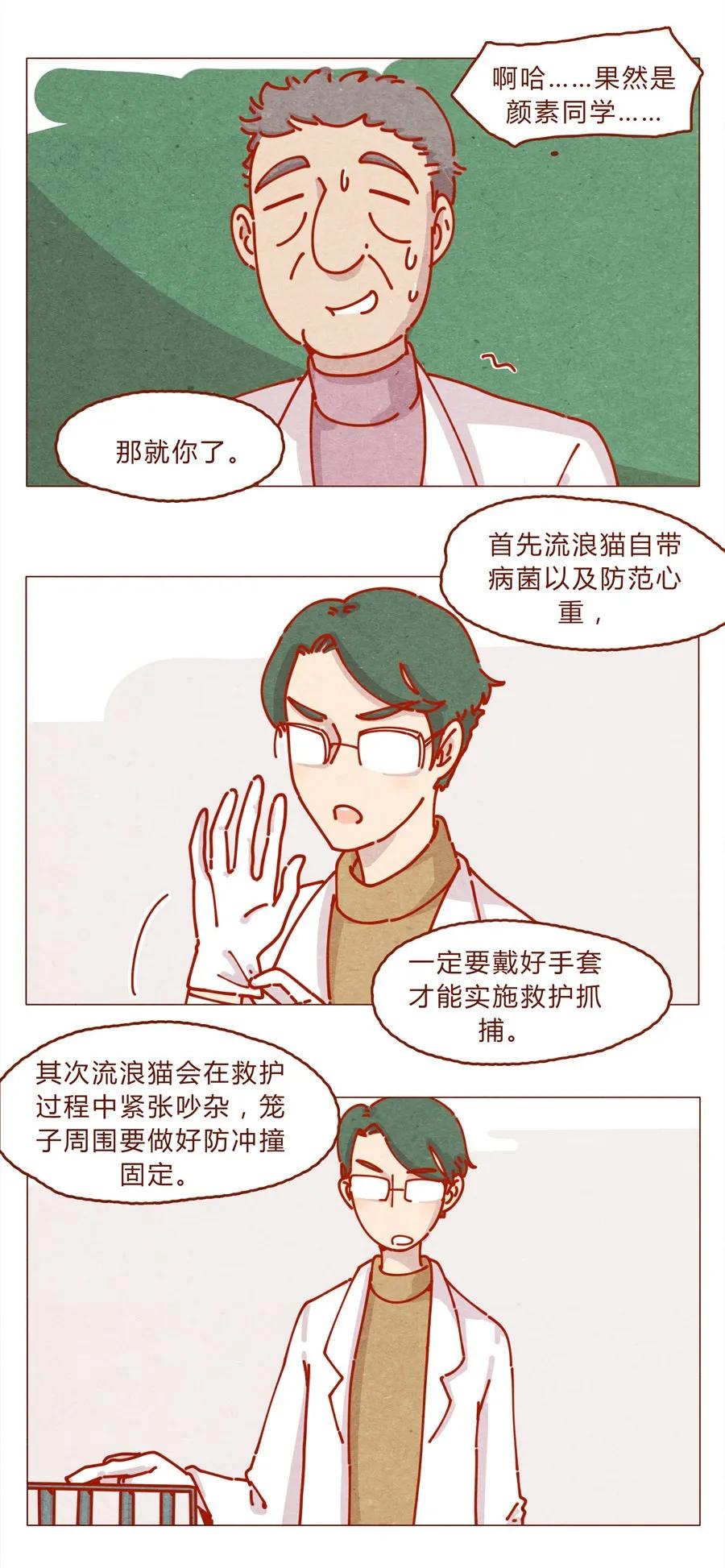 171话别人家的喵！-喂，看见耳朵啦-特雷西胡,漫漫漫画（第3张）