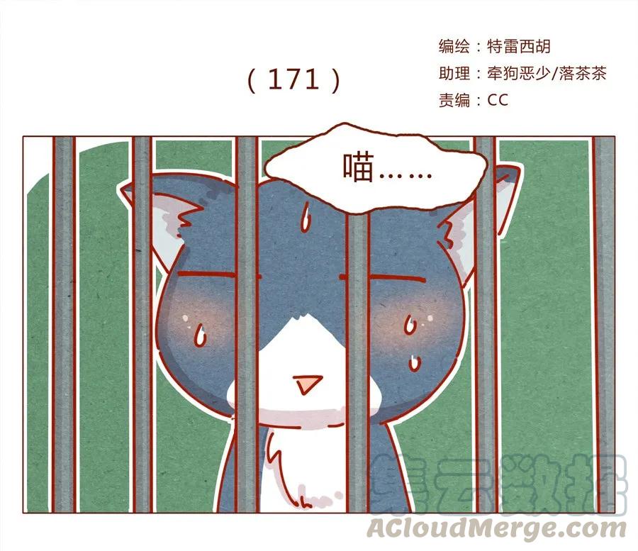 171话别人家的喵！-喂，看见耳朵啦-特雷西胡,漫漫漫画（第1张）