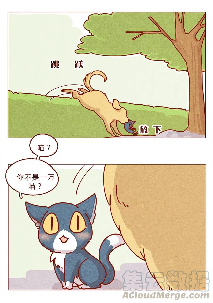 172话汪来喵去-喂，看见耳朵啦-特雷西胡,漫漫漫画（第13张）