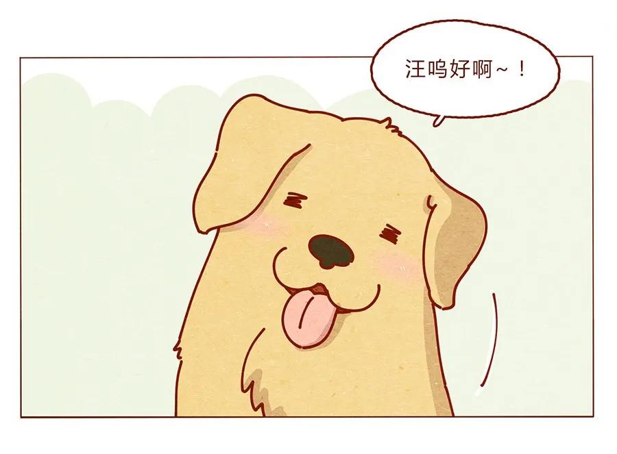 172话汪来喵去-喂，看见耳朵啦-特雷西胡,漫漫漫画（第20张）