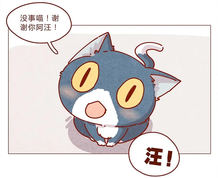 172话汪来喵去-喂，看见耳朵啦-特雷西胡,漫漫漫画（第16张）