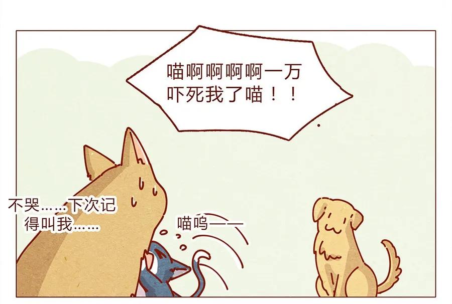172话汪来喵去-喂，看见耳朵啦-特雷西胡,漫漫漫画（第18张）