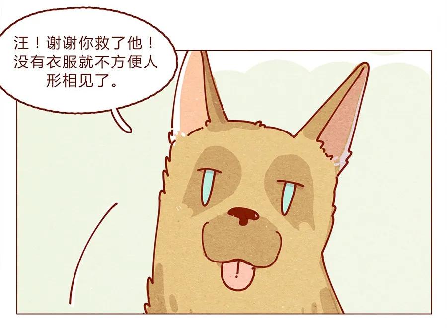 172话汪来喵去-喂，看见耳朵啦-特雷西胡,漫漫漫画（第19张）