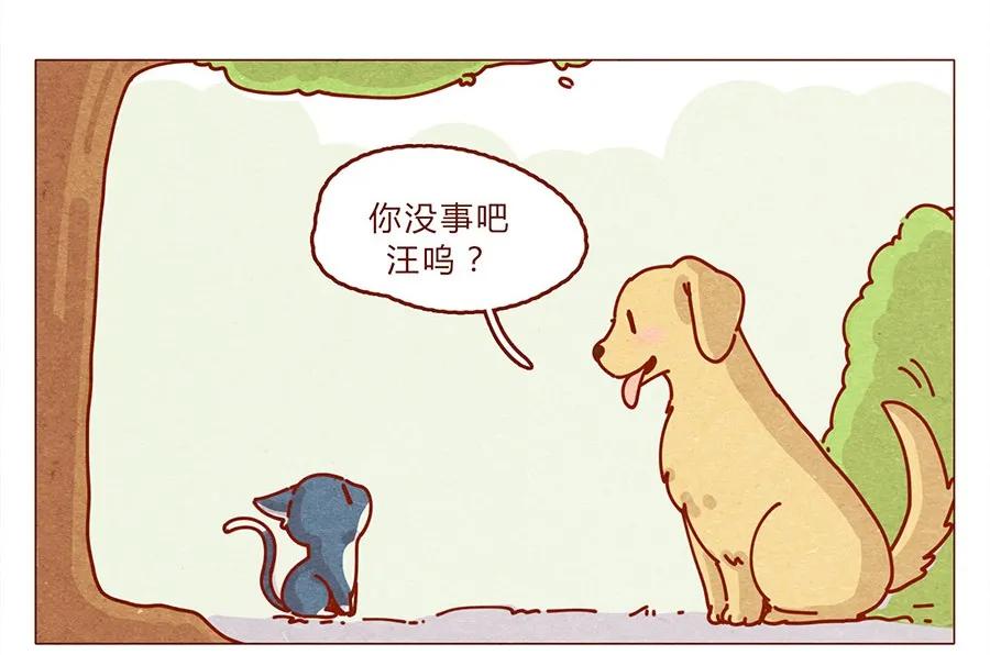 172话汪来喵去-喂，看见耳朵啦-特雷西胡,漫漫漫画（第15张）