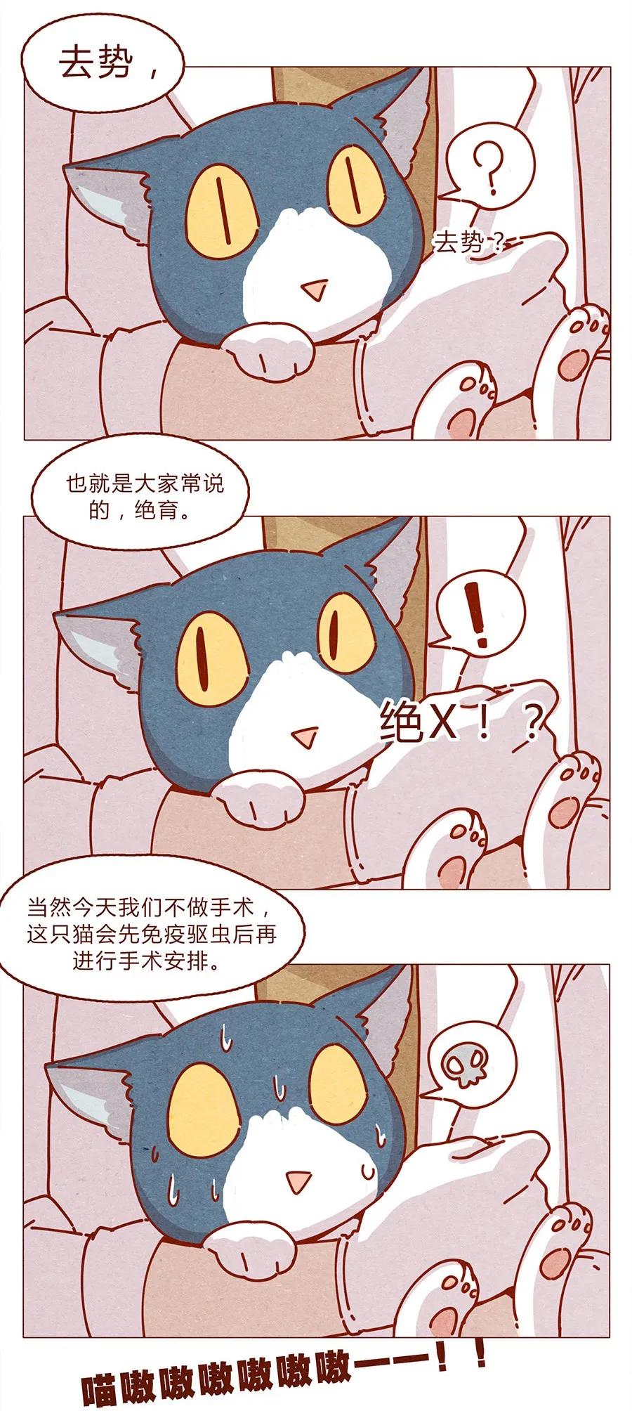 172话汪来喵去-喂，看见耳朵啦-特雷西胡,漫漫漫画（第4张）
