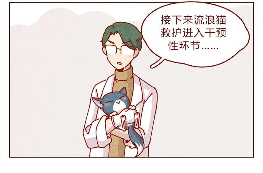 172话汪来喵去-喂，看见耳朵啦-特雷西胡,漫漫漫画（第2张）