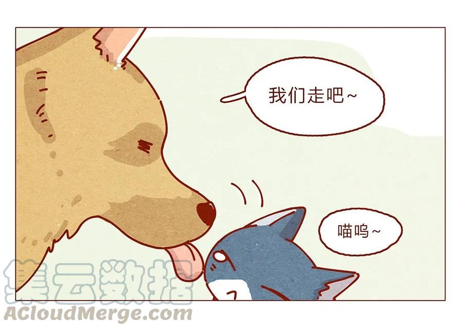 172话汪来喵去-喂，看见耳朵啦-特雷西胡,漫漫漫画（第21张）