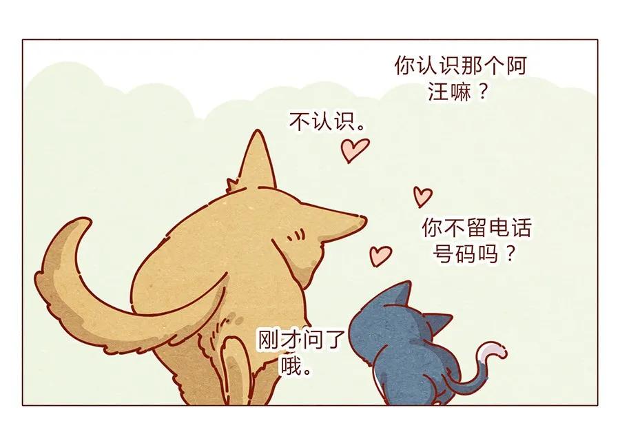 172话汪来喵去-喂，看见耳朵啦-特雷西胡,漫漫漫画（第22张）