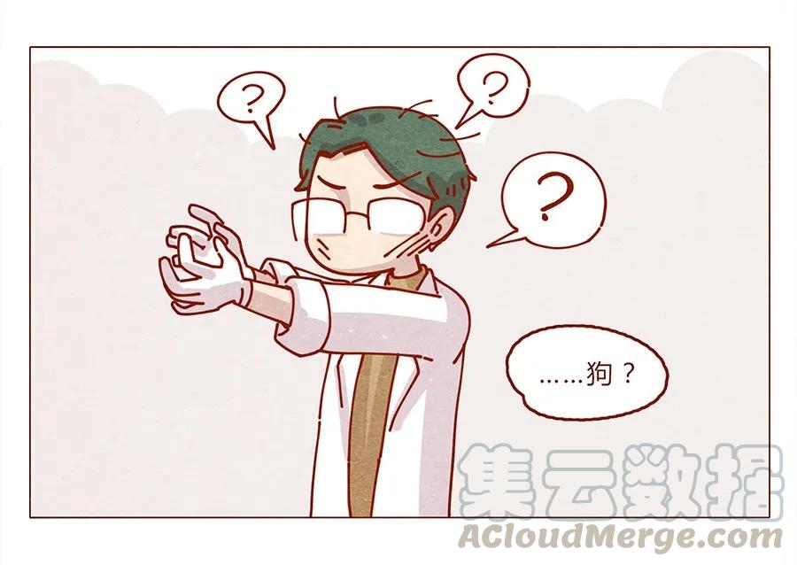 172话汪来喵去-喂，看见耳朵啦-特雷西胡,漫漫漫画（第9张）