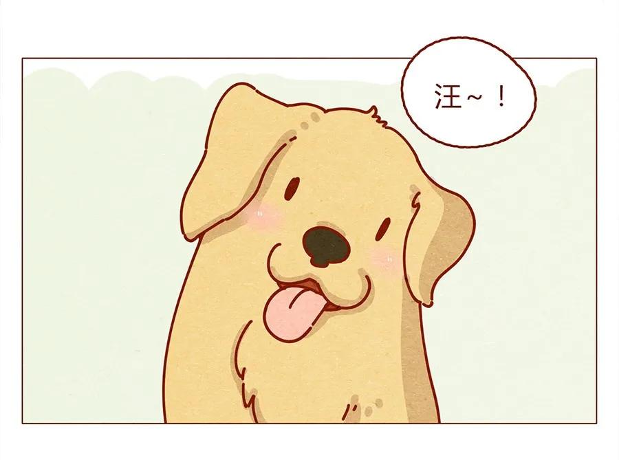 172话汪来喵去-喂，看见耳朵啦-特雷西胡,漫漫漫画（第14张）