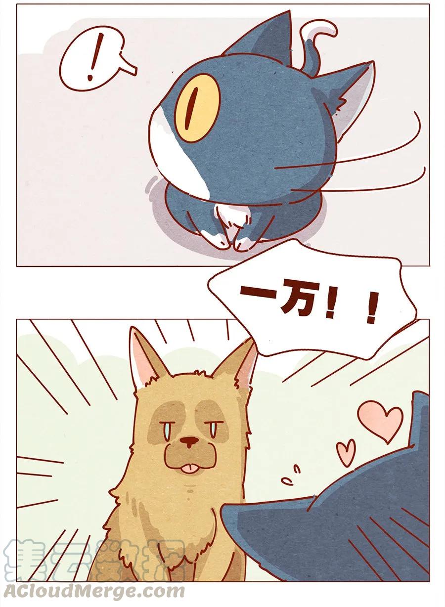 172话汪来喵去-喂，看见耳朵啦-特雷西胡,漫漫漫画（第17张）