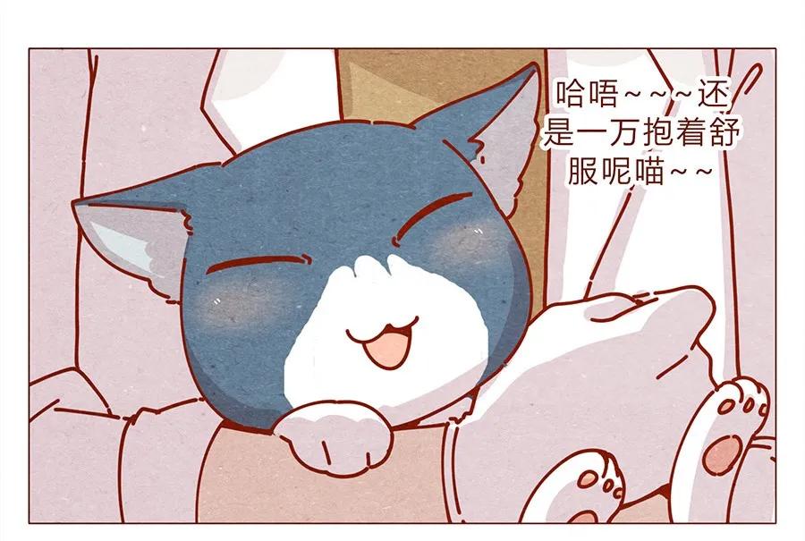 172话汪来喵去-喂，看见耳朵啦-特雷西胡,漫漫漫画（第3张）