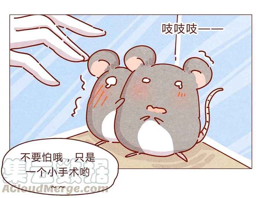 174话那……谁啊？-喂，看见耳朵啦-特雷西胡,漫漫漫画（第7张）