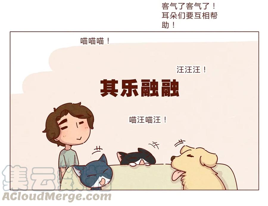 187话疯了疯了作者疯了-喂，看见耳朵啦-特雷西胡,漫漫漫画（第5张）