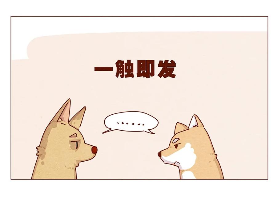 187话疯了疯了作者疯了-喂，看见耳朵啦-特雷西胡,漫漫漫画（第6张）
