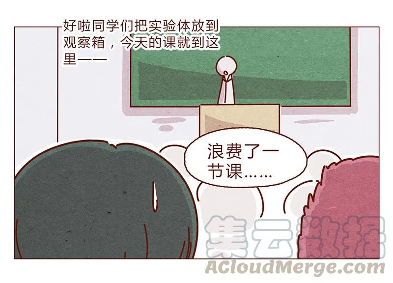 195话天选之子真的不是你-喂，看见耳朵啦-特雷西胡,漫漫漫画（第5张）