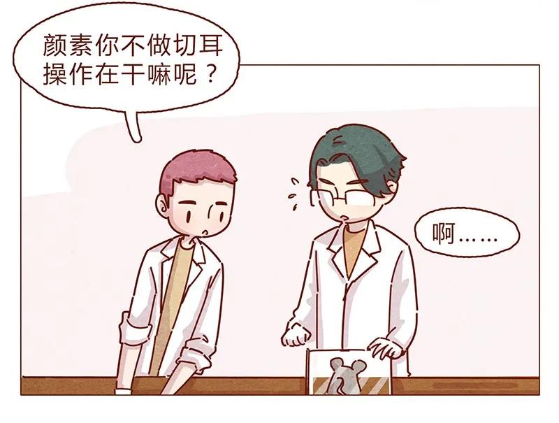 195话天选之子真的不是你-喂，看见耳朵啦-特雷西胡,漫漫漫画（第4张）