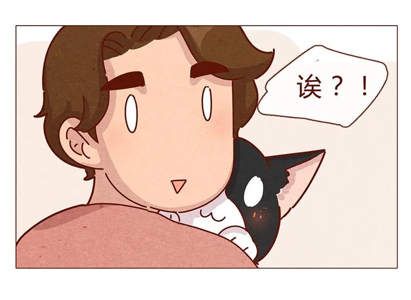 196话你有别的猫！-喂，看见耳朵啦-特雷西胡,漫漫漫画（第14张）