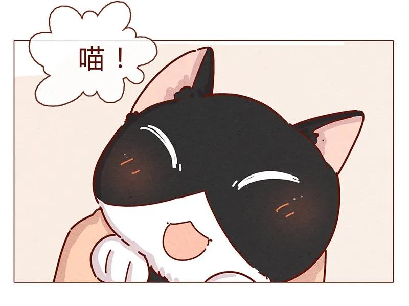 196话你有别的猫！-喂，看见耳朵啦-特雷西胡,漫漫漫画（第11张）
