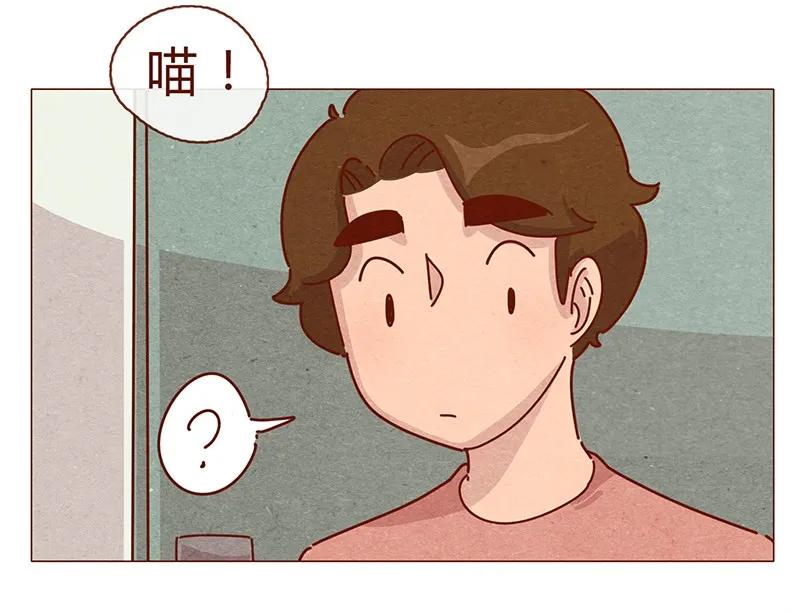 196话你有别的猫！-喂，看见耳朵啦-特雷西胡,漫漫漫画（第8张）