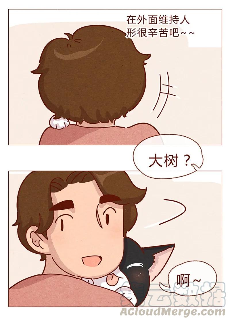 196话你有别的猫！-喂，看见耳朵啦-特雷西胡,漫漫漫画（第13张）