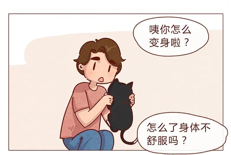 196话你有别的猫！-喂，看见耳朵啦-特雷西胡,漫漫漫画（第10张）