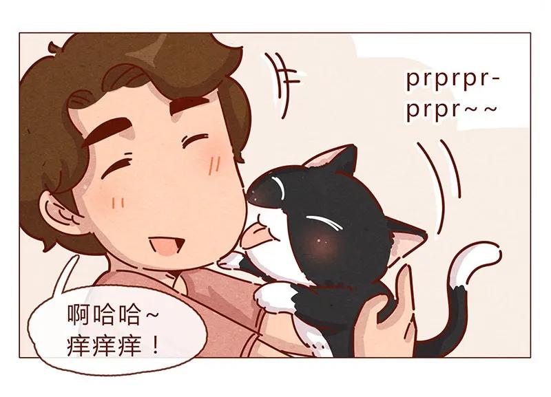 196话你有别的猫！-喂，看见耳朵啦-特雷西胡,漫漫漫画（第12张）