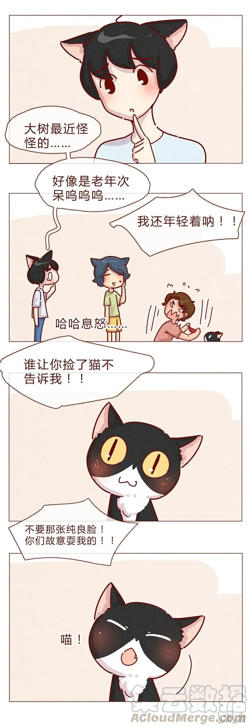 197话你举着个胖次做什么-喂，看见耳朵啦-特雷西胡,漫漫漫画（第13张）