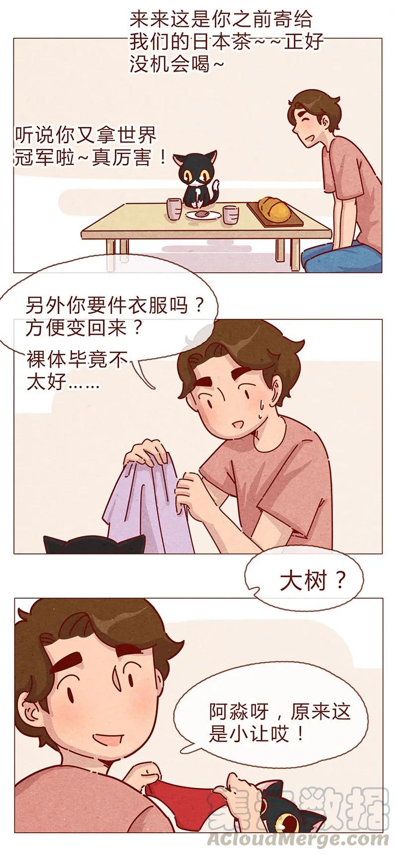 197话你举着个胖次做什么-喂，看见耳朵啦-特雷西胡,漫漫漫画（第7张）