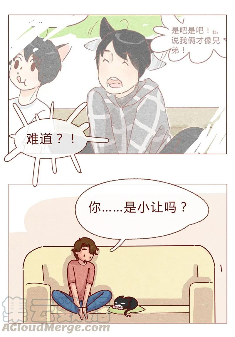 197话你举着个胖次做什么-喂，看见耳朵啦-特雷西胡,漫漫漫画（第5张）