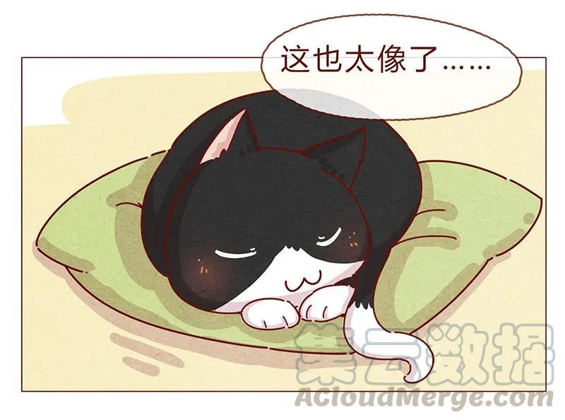 197话你举着个胖次做什么-喂，看见耳朵啦-特雷西胡,漫漫漫画（第3张）